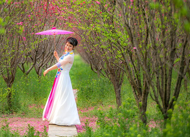 电影《穿旗袍的女人》背后的故事之四十六  沈萍萍
