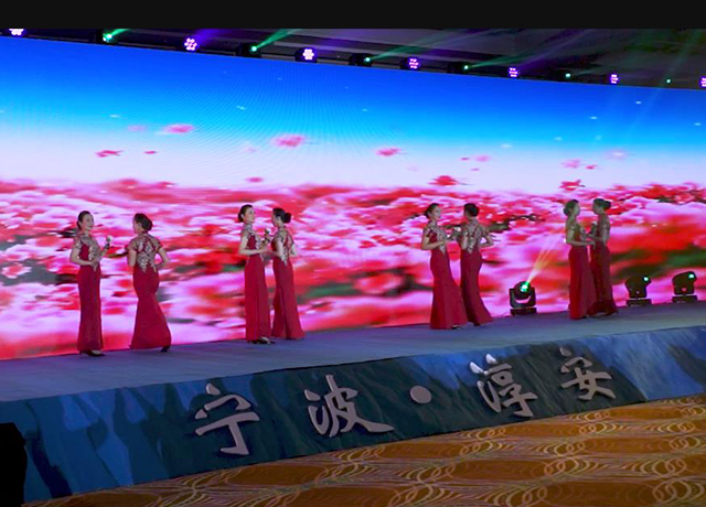 启润影视时装艺术表演团亮相宁波市淳安商会春晚活动