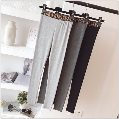 网红豹纹腰打底裤 夏季爆款修身显瘦百搭休闲美腿裤