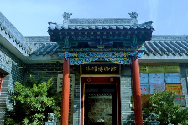 访全球独家专项砗磲博物馆—启润影视郑州行